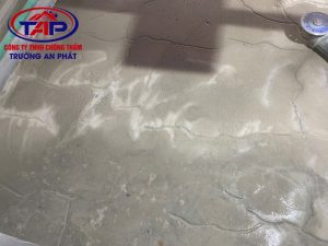 các lỗi thường gặp trong chống thấm nhà vệ sinh