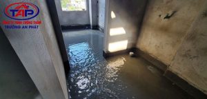 ảnh đại diện quy trình ngâm thử nước nhà vệ sinh sau khi chống thấm