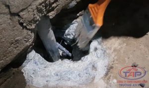Quét tác nhân bám dính Sika Latex lên bê tông đã đục vát cạnh quanh cổ ống