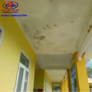 Thấm sân thượng tại huyện Nam Đàn tỉnh Nghệ An