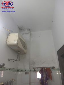 Trần nhà vệ sinh bị ẩm mốc do thấm nước