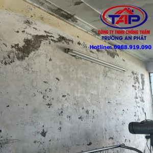 Tường trong nhà bị thấm gây bong tróc sơn và ẩm mốc