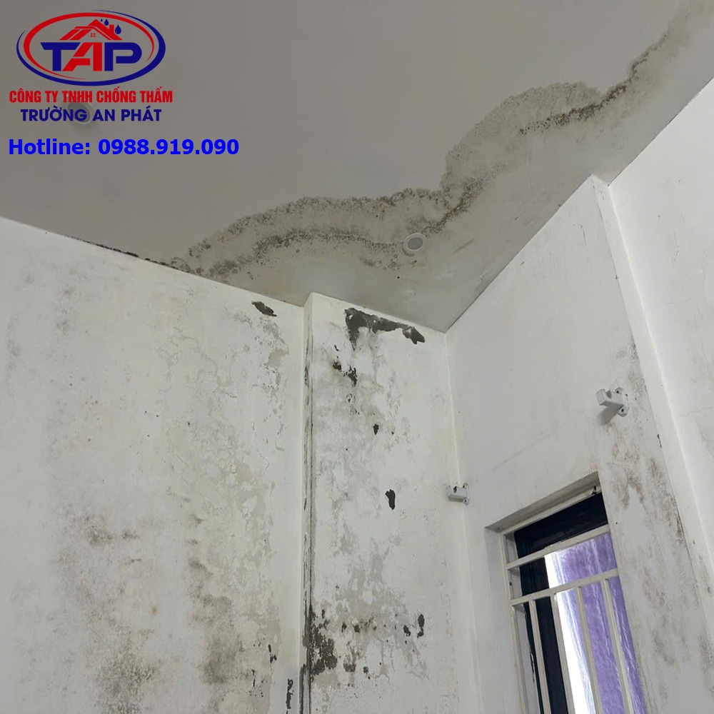 Chống thấm sàn mái bê tông dù đã lợp mái vẫn bị thấm dột